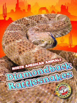 cover image of Diamondback Rattlesnakes